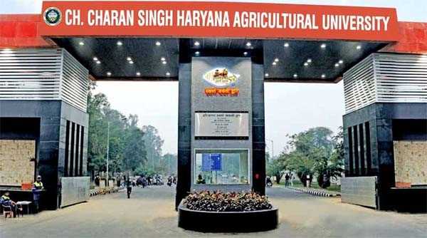 एचएयू में 543 परीक्षार्थियों ने दी स्नातकोत्तर के लिए प्रवेश परीक्षा, 337 रहे अनुपस्थित